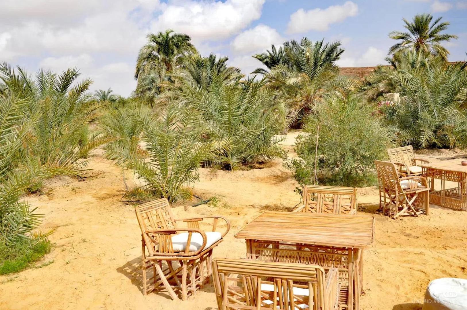 Tanirt Ecolodge Siwa Oasis Exteriér fotografie