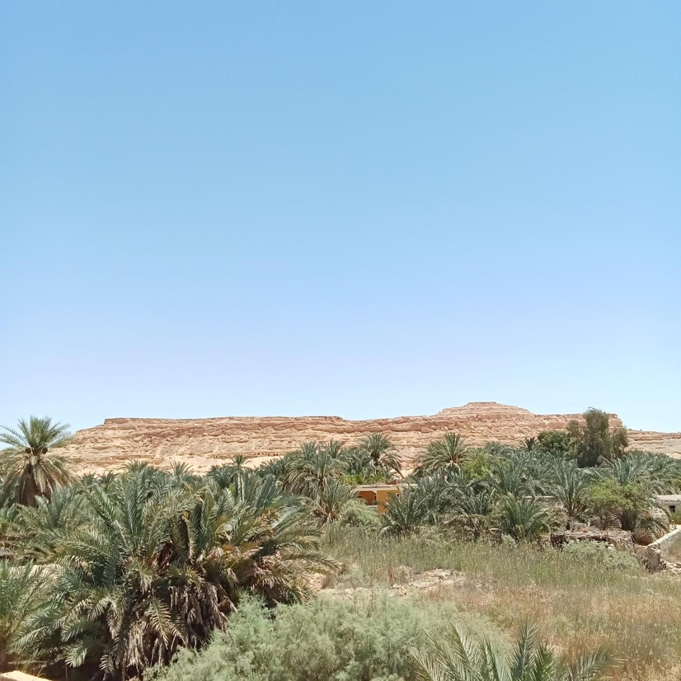 Tanirt Ecolodge Siwa Oasis Exteriér fotografie