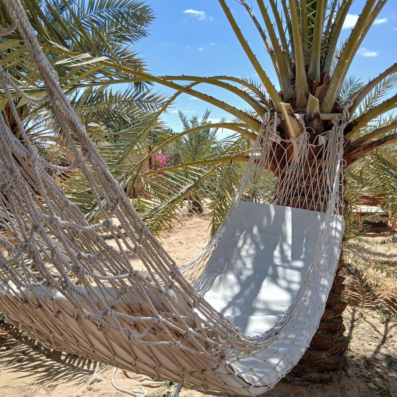 Tanirt Ecolodge Siwa Oasis Exteriér fotografie